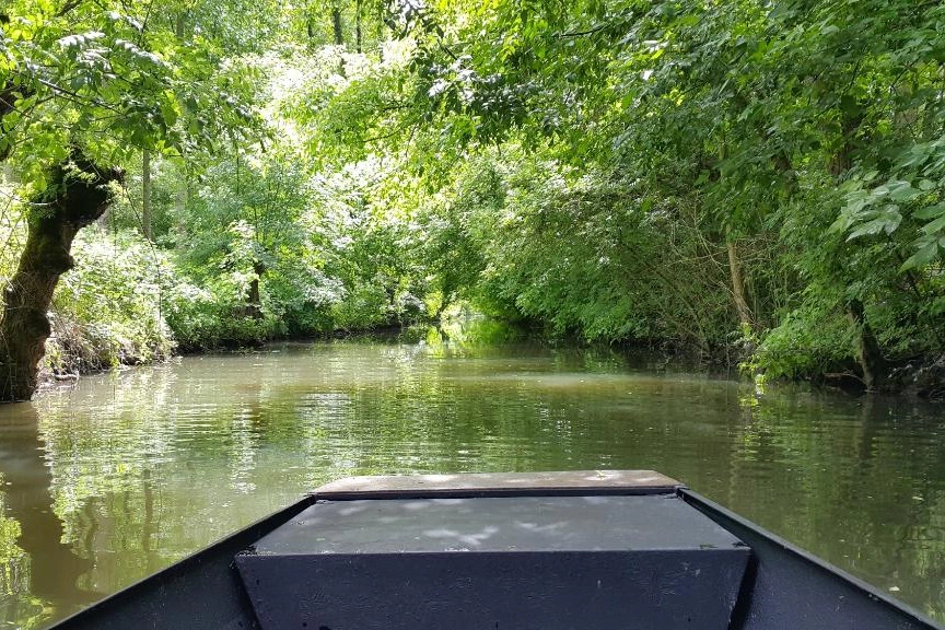 Balade dans le marais poitevin à bord d'une barque traditionnelle
