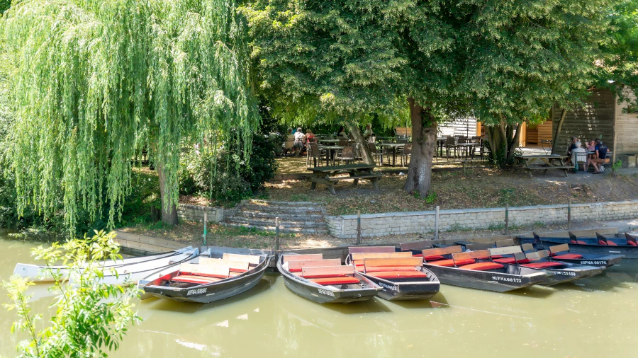 Jolie photo très arborée montrant les bateaux et le restaurant