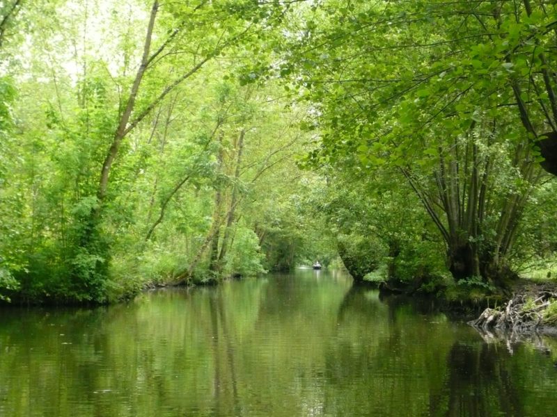 les canaux embarcadère la venise verte marais poitevin