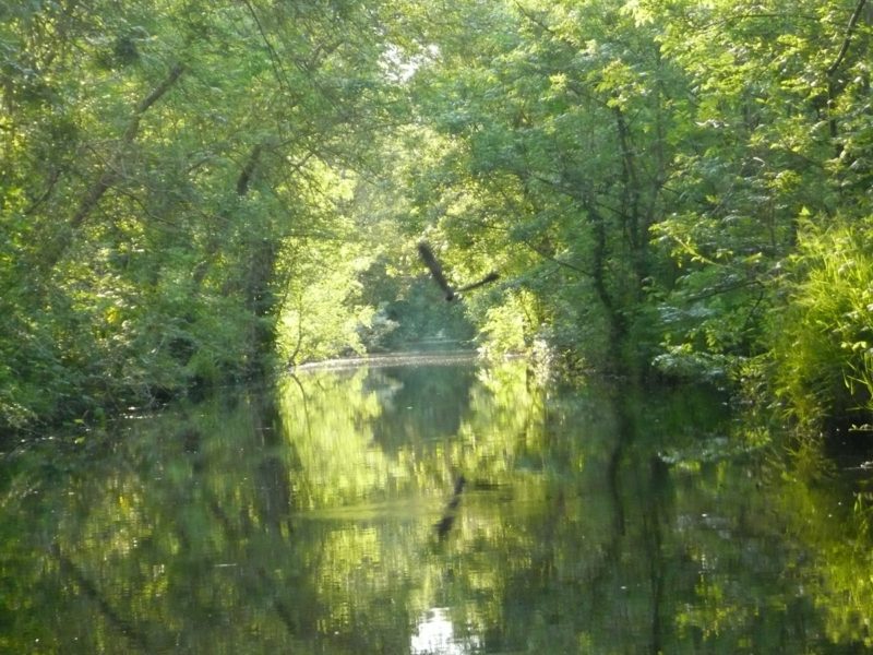 les canaux  embarcadère la venise verte marais poitevin