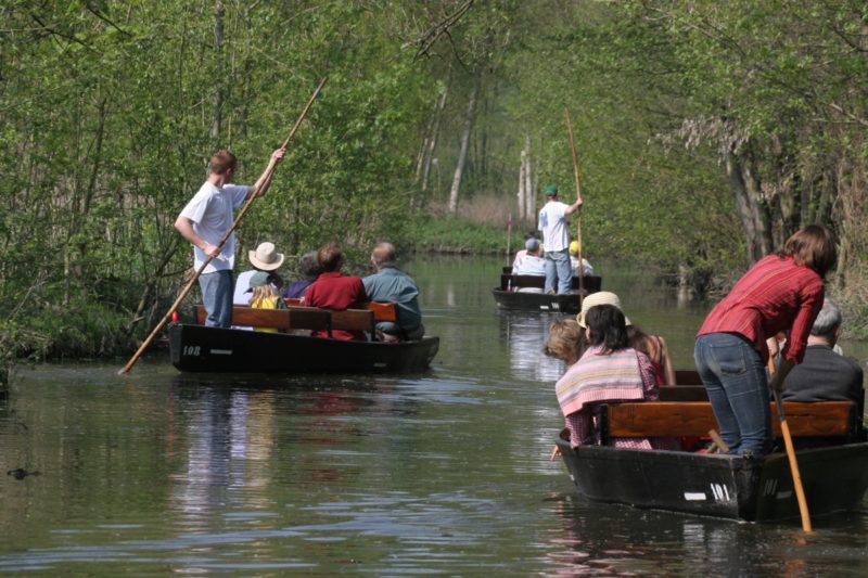 accueil des groupes embarcadère la venise verte marais poitevin